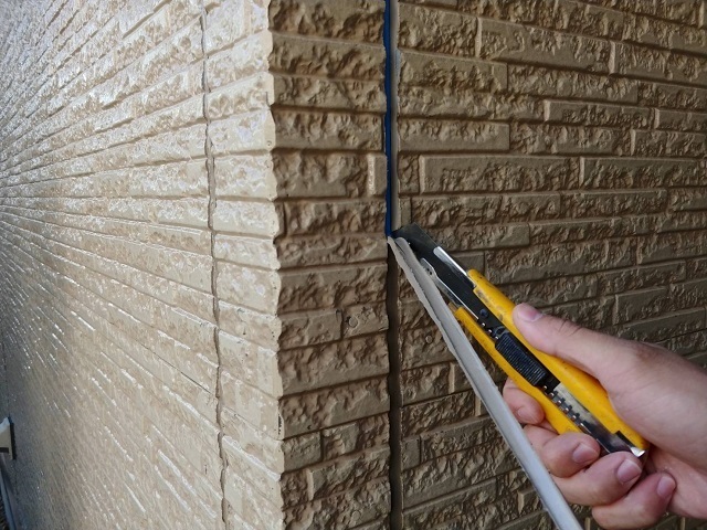 202111274185 (1).JPG