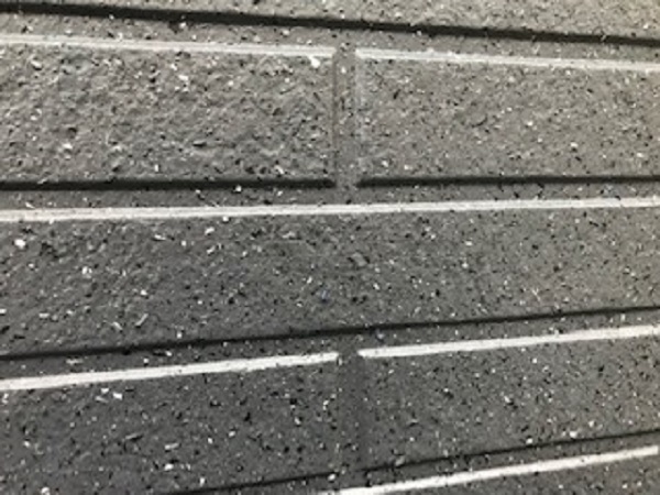 村田ゾラ２ (2).jpg