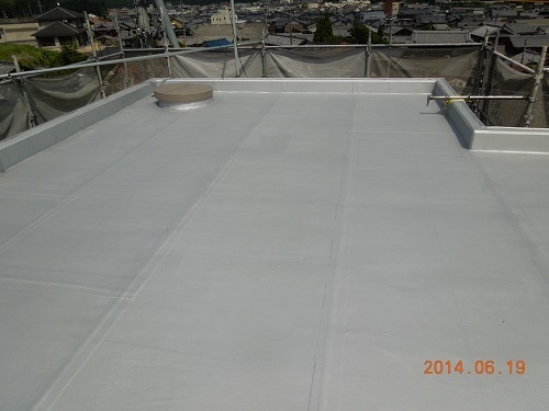 DSCN4743 - コピー.JPG