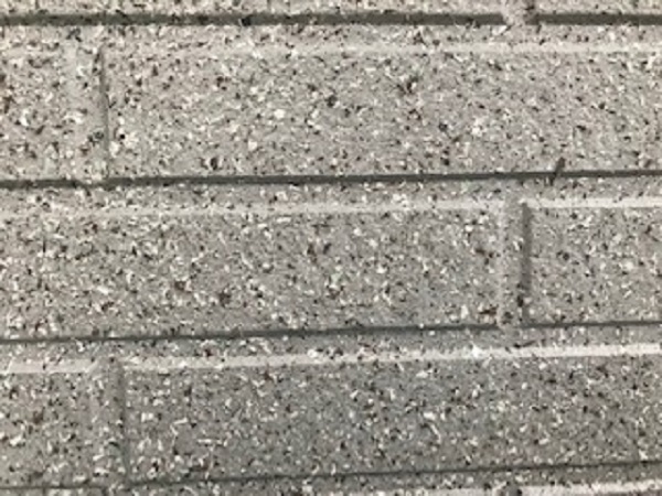 村田ゾラ２ (1).jpg